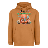 Meerkat bookaholic Heavyweight Hoodie - MaliasSmallBusiness