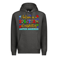 Charcoal Heather i believe in a spectrum of possibilities Premium Hoodie - LillyAllenDesigns
