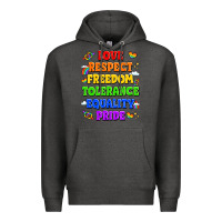 Charcoal Heather love respect freedom tolerance equality pride Premium Hoodie - LillyAllenDesigns