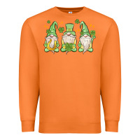 Carrot st. patrick's day gnomes Premium Sweatshirt - MaliasSmallBusiness