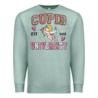 Seafoam cupid university Premium Sweatshirt - MaliasSmallBusiness