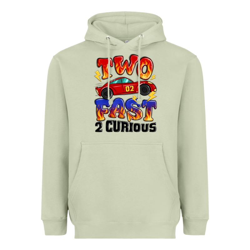 Two Fast Two Curious Boys Birthday Racing Car Heavyweight Hoodie by MaliasSmallBusiness | Teevron
