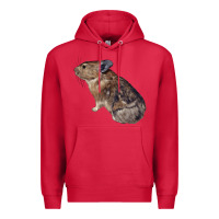 Cardinal pika Premium Hoodie - LillyAllenDesigns