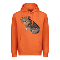 Carrot pika Premium Hoodie - LillyAllenDesigns
