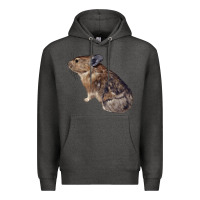 Charcoal Heather pika Premium Hoodie - LillyAllenDesigns
