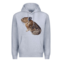 Heather Grey pika Premium Hoodie - LillyAllenDesigns