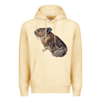 Pika Premium Hoodie | Teevron