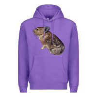 Purple pika Premium Hoodie - LillyAllenDesigns