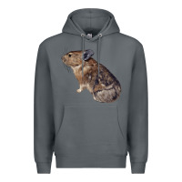 Rock pika Premium Hoodie - LillyAllenDesigns