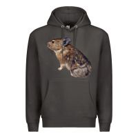 Smoke pika Premium Hoodie - LillyAllenDesigns