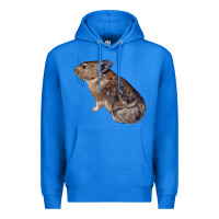 True Royal pika Premium Hoodie - LillyAllenDesigns