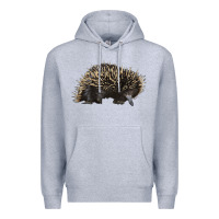 Heather Grey short beaked echidna Premium Hoodie - LillyAllenDesigns