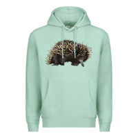 Seafoam short beaked echidna Premium Hoodie - LillyAllenDesigns