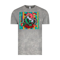 Cloud Rock flamenco dancer tumbler 3 Vintage Tee - CTS Tumbler Store