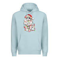 Blue Mist christmas ragdoll cat Premium Hoodie - LillyAllenDesigns
