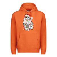 Carrot christmas ragdoll cat Premium Hoodie - LillyAllenDesigns