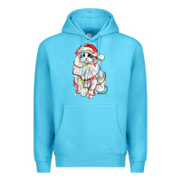 Ocean Blue christmas ragdoll cat Premium Hoodie - LillyAllenDesigns