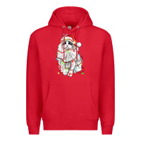 Red christmas ragdoll cat Premium Hoodie - LillyAllenDesigns