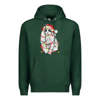 Sports Green christmas ragdoll cat Premium Hoodie - LillyAllenDesigns
