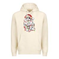 Tofu christmas ragdoll cat Premium Hoodie - LillyAllenDesigns