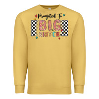 Promoted To Big Sister Premium Sweatshirt | Teevron