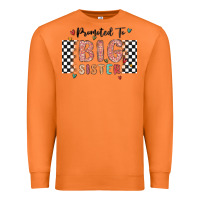 Carrot promoted to big sister Premium Sweatshirt - MaliasSmallBusiness