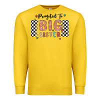 Lemon promoted to big sister Premium Sweatshirt - MaliasSmallBusiness