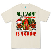Bone all i want for christmas is a choir Premium Tee - BarkalooDesign
