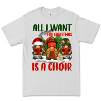 Dove Grey all i want for christmas is a choir Premium Tee - BarkalooDesign