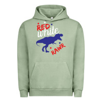 Pigment Oil Green 4th of July Dinosaur Urban Hoodie - Bettercallsaul