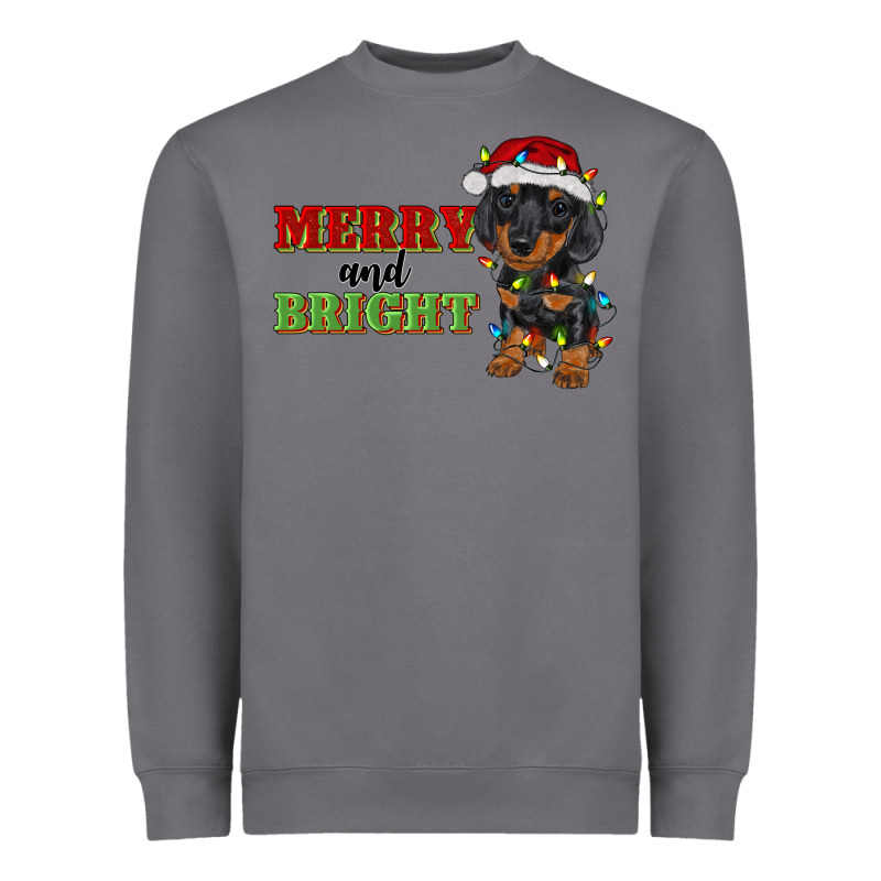 Merry And Bright Dachshund Heavyweight Sweatshirt by RanaPortraitStore | Teevron