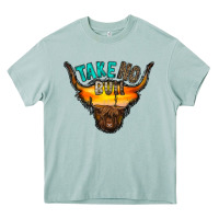 Take No Bull Heavy Core Tee | Teevron
