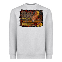 All I Want For Christmas Is A Horse Brown Horse Heavyweight Sweatshirt | Teevron