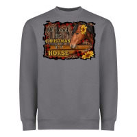Storm all i want for christmas is a horse brown horse Heavyweight Sweatshirt - RanaPortraitStore
