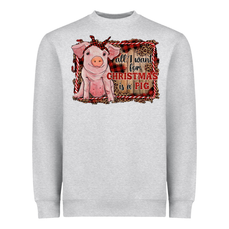 All I Want For Christmas Is A Pig Sitting Pig Heavyweight Sweatshirt by RanaPortraitStore | Teevron