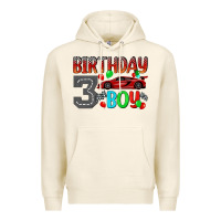 Tofu birthday boy 3 Premium Hoodie - BundleAndBundleShop