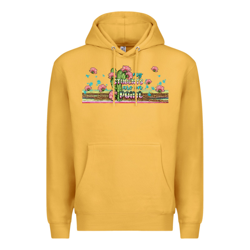 My Students Are On Point Libbey Glass Premium Hoodie by BundleAndBundleShop | Teevron