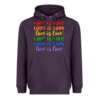 Plum love is love lgbtq Heavyweight Hoodie - MaliasSmallBusiness
