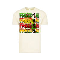 Vintage Arctic Freedom 1865 Vintage Tee - Zillion Design Studio