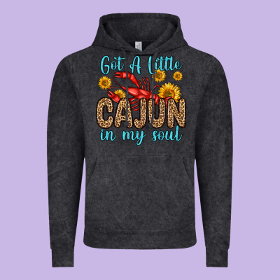 Got A Little Cajun In My Soul Vintage Hoodie Designed By Zillion Design Studio