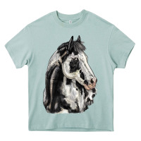 Arona paint horse Heavy Core Tee - LillyAllenDesigns