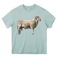 Arona katahdin sheep Heavy Core Tee - LillyAllenDesigns