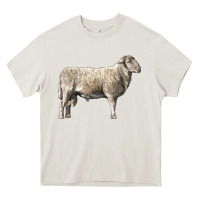 Cream katahdin sheep Heavy Core Tee - LillyAllenDesigns