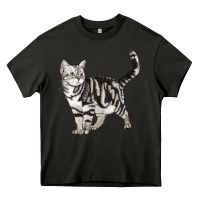 Asphalt American Shorthair Cat Heavy Core Tee - LillyAllenDesigns