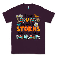 Plum i have survived to may storms to be bothered by ra Classic Tee - AdoDesignShop