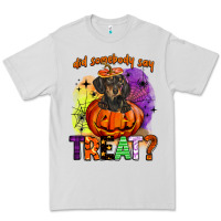 Dove Grey did somebody say treat Premium Tee - BarkalooDesign