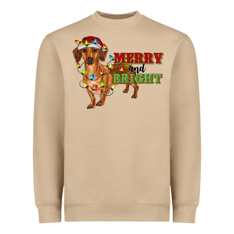 Merry And Bright Dachshund Heavyweight Sweatshirt by RanaPortraitStore | Teevron