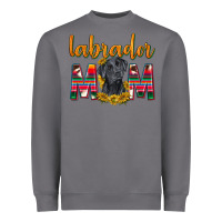 Storm western labrador retriever mom Heavyweight Sweatshirt - texasbilliewilder