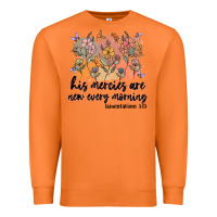 Carrot his mercies are new every morning Premium Sweatshirt - MaliasSmallBusiness