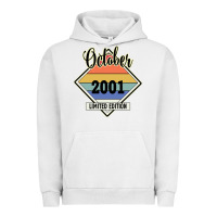 Pigment Lunar Rock October 2001 Limited Edition Urban Hoodie - Bettercallsaul